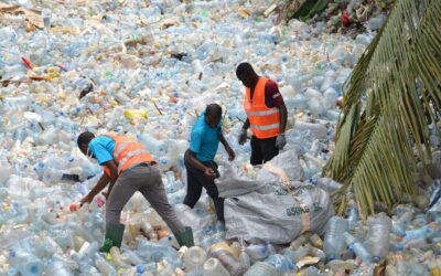 AfriGreen24 : La premiere plateforme stratégique qui structure l’avenir environnemental de l’Afrique