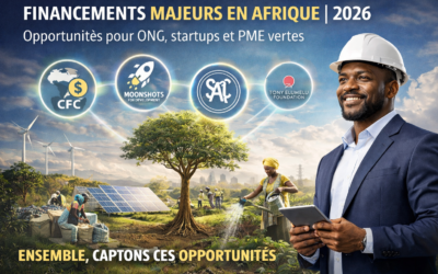 Financement à Impact en Afrique : Le Guide des Opportunités Majeures de 2026 pour les ONGs et Entreprises